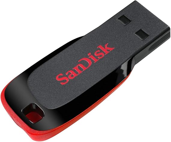 SanDisk 128 GB Cruzer Blade USB Flash Drive